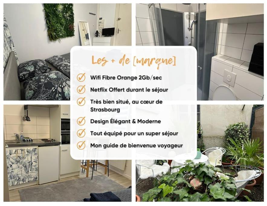 Studio Proche Du Centre-Ville Στρασβούργο Εξωτερικό φωτογραφία